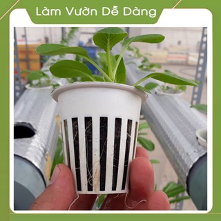 Combo 10 cái RỌ TRỒNG CÂY DÙNG ƯƠM GIEO HẠT GIỐNG TRỒNG CÂY