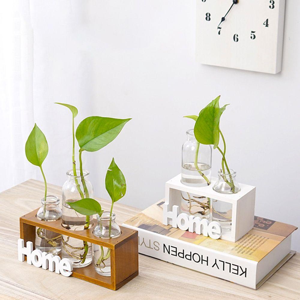 Chậu Trồng Cây Thủy Canh Để Bàn Khung Gỗ Đơn Giản Hiệu Kat1