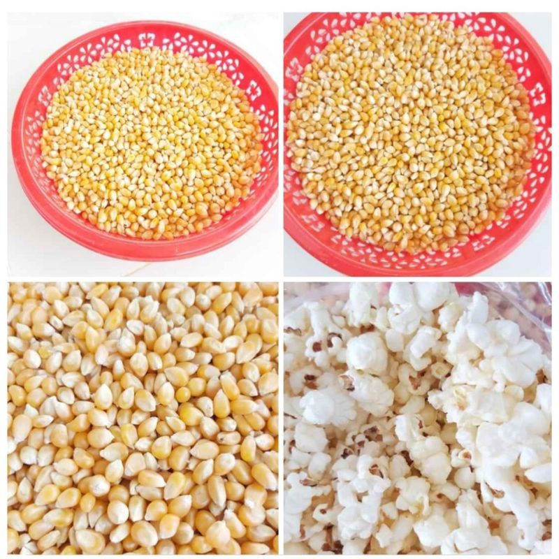 Bắp mỹ làm bắp rang bơ 100g