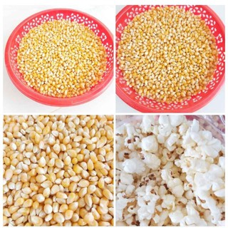Bắp mỹ làm bắp rang bơ 100g