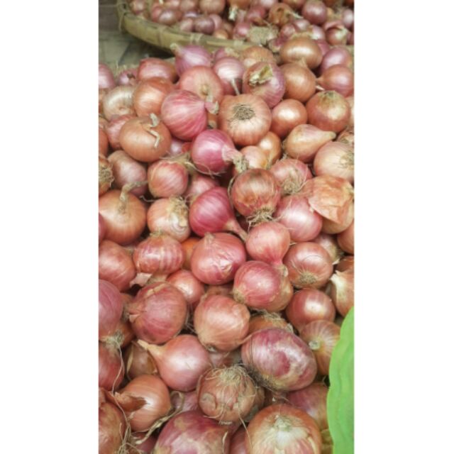 Hành indo  500g