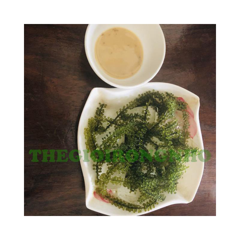 Rong nho Tách nước Sea Việt gói 100g | BigBuy360 - bigbuy360.vn