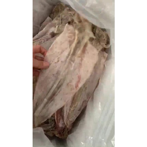 Mực Khô Quảng Ninh Size Đại 6con/Kg SiêuTo, Mực Câu Xẻ Phơi Khô Đảm Bảo An Toàn