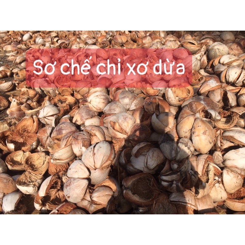 Vỏ dừa khô tách gáo