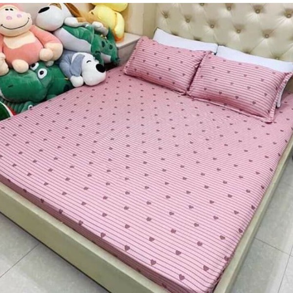 Bộ ga gối cotton poly siêu ngộ nghĩnh