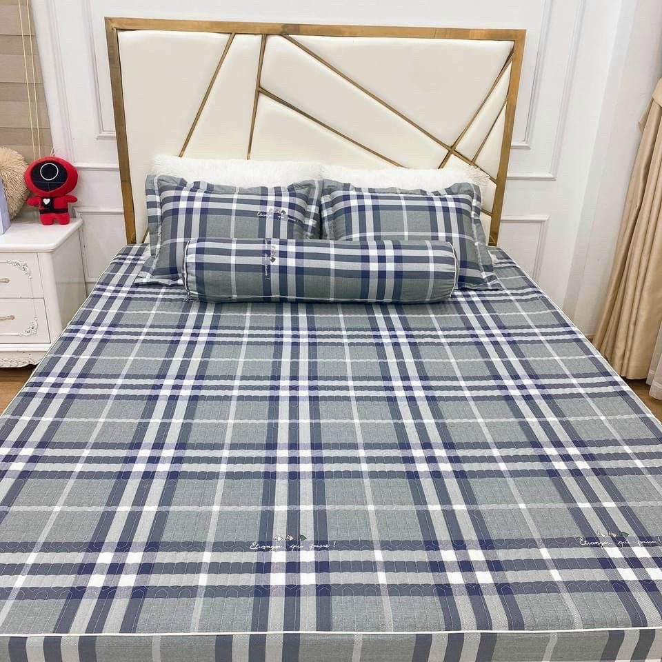 Bộ ga chun cotton kèm 2 vỏ gối nằm ,hàng cotton 100% thoáng mát , mềm min. mẫu mã đa dạng - tim lồng