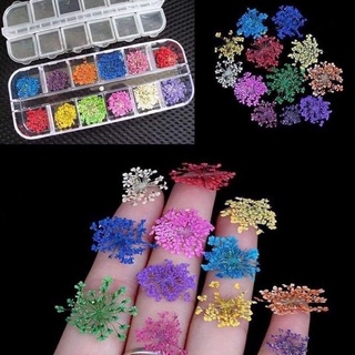 Set 12 màu hoa khô chùm làm ẩn gel,ẩn cứng móng ,clear