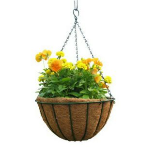 Chậu treo sơ dừa khung sắt đen đk 25cm