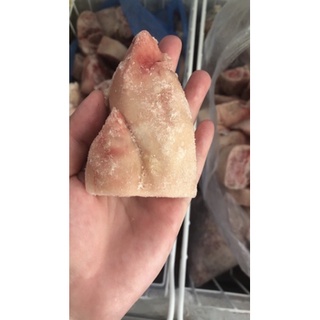 GIÒ HEO GÂN NHẬP KHẨU BALAN/ĐỨC
