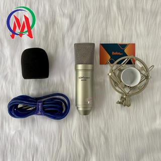 MIC THU ÂM AQTA AQ-100