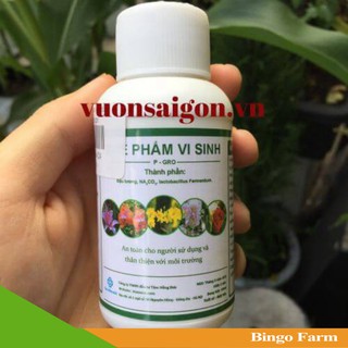 Chế phẩm vi sinh p – gro