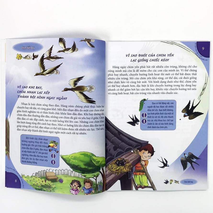 Sách - 10 Vạn câu hỏi vì sao - Chim Yến, Chuồn Chuồn và Đom Đóm | BigBuy360 - bigbuy360.vn