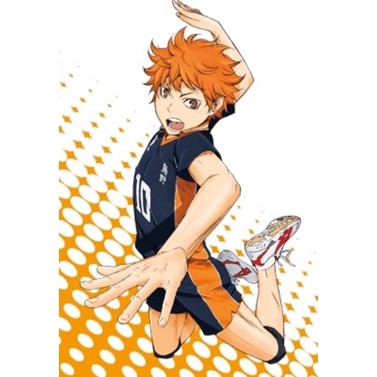 tranh poster hinata shoyo haikyuu 3-6 tấm/ ảnh dán hinata shoyo haikyuu