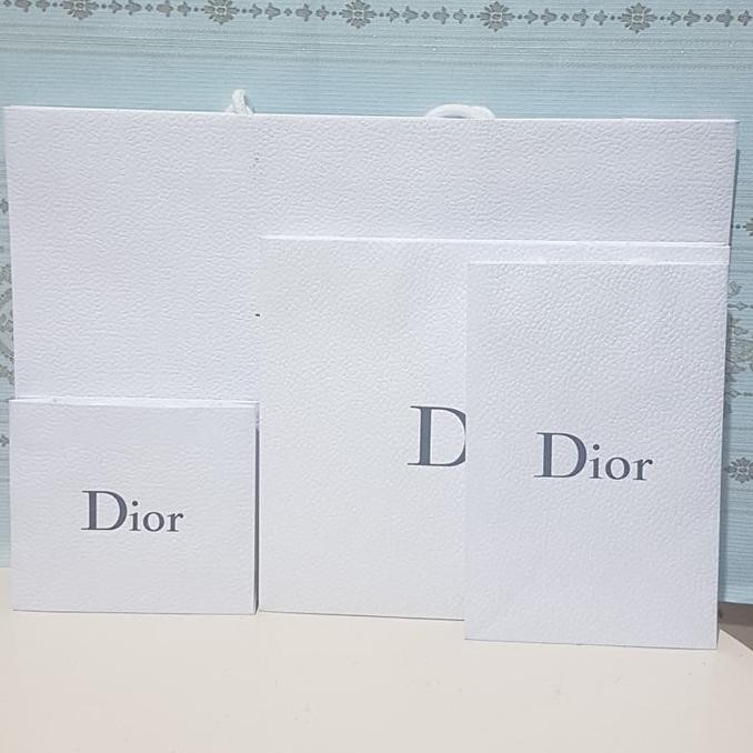 Túi Xách Dior Chính Hãng Size L Mới