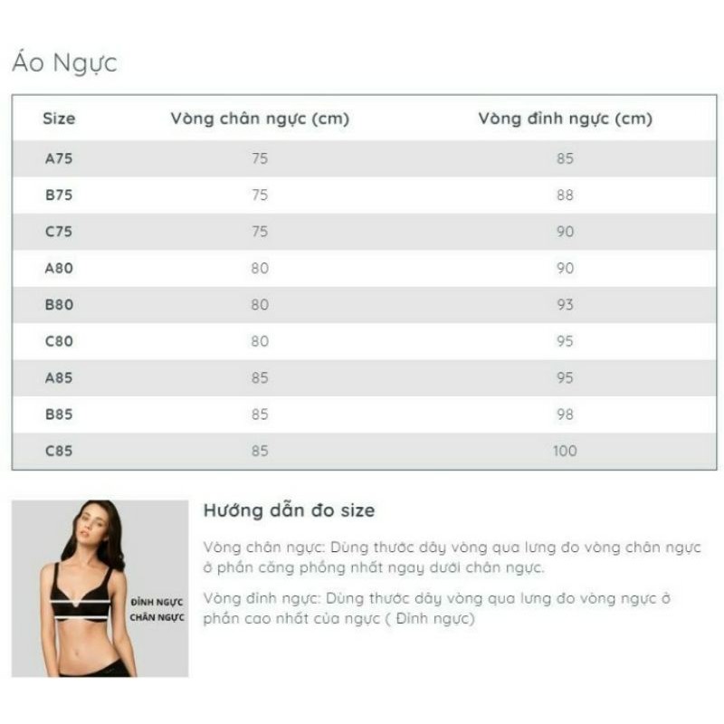 Áo ngực Misaki mút dày cúp trơn 6344