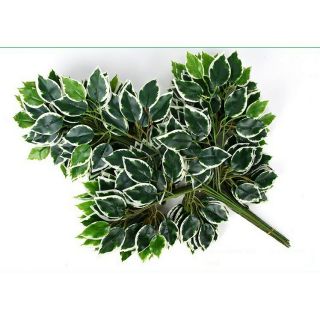 Lá si viền trắng Loại 1 trang trí , Decor làm cây