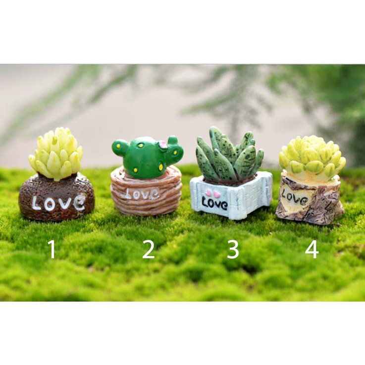 Tiểu cảnh - Xương Rồng Nhỏ Làm Tiểu Cảnh - trang trí terrarium / decord mô hình