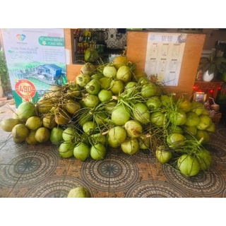 Dừa tươi nguyên trái (dừa ta)