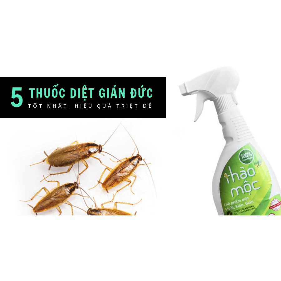 Bình xịt muỗi, Kiến, Gián mối sinh học Thảo Mộc Plus cải tiến mới - chai xịt không độc, an toàn cho bà bầu và trẻ nhỏ
