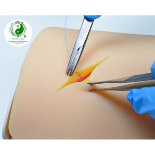 [CÓ SẴN] MÔ HÌNH DA luyện tập PHẪU THUẬT, KHÂU VẾT THƯƠNG tặng BỘ DỤNG CỤ 5 MÓN KHÂU VẾT THƯƠNG
