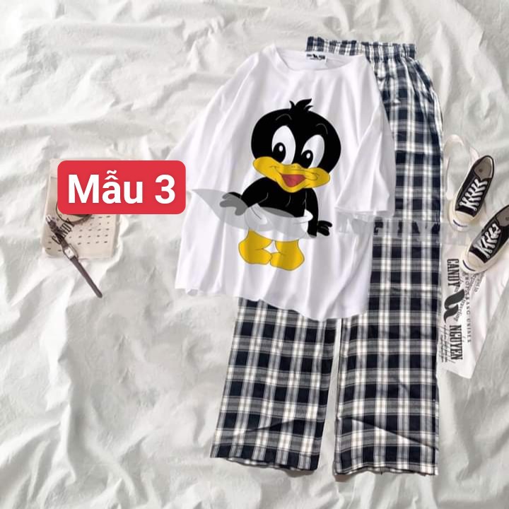 Sét bộ áo thun hình cute 5 + quần kẻ ống rộng  90