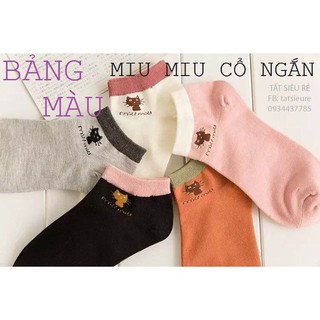 Bộ 5 đôi tất miu nữ hình mèo