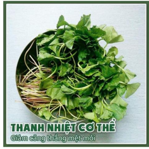 1KG BỘT RAU MÁ NGUYÊN CHẤT 100%