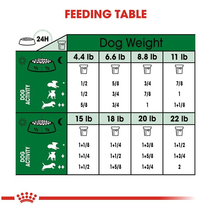 2kg - Hạt Mini Adult Royal Canin dành cho Chó giống nhỏ dưới 10kg trưởng thành trên 10 tháng tuổi Garé Pet Shop