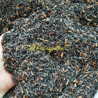 Trấu hun hạt to (túi 1kg)