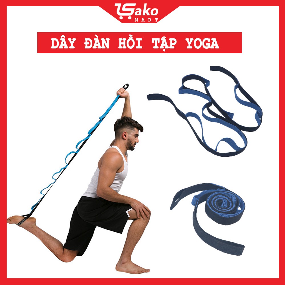 Dây kéo đàn hồi tập yoga chia đốt cao cấp TOPBODY-DADHG02