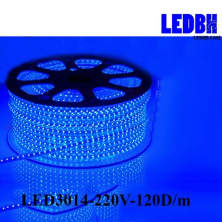 1m Đèn led dây 3014 Xanh dương 220V cuộn 100m loại có 120 mắt led màu– Home-3014-120D/M-B
