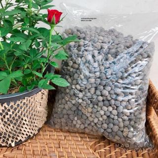 Phân dê hữu cơ (4kg) tan chậm phân cho lan cho cây