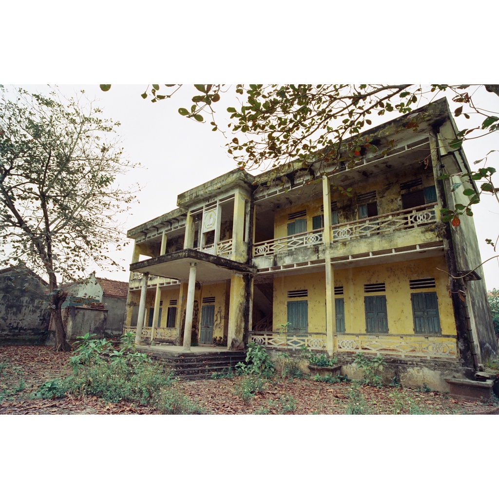 Film máy ảnh Kodak vision 3-250D