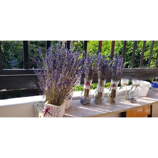 Lọ hoa Lavender nhập khẩu Pháp