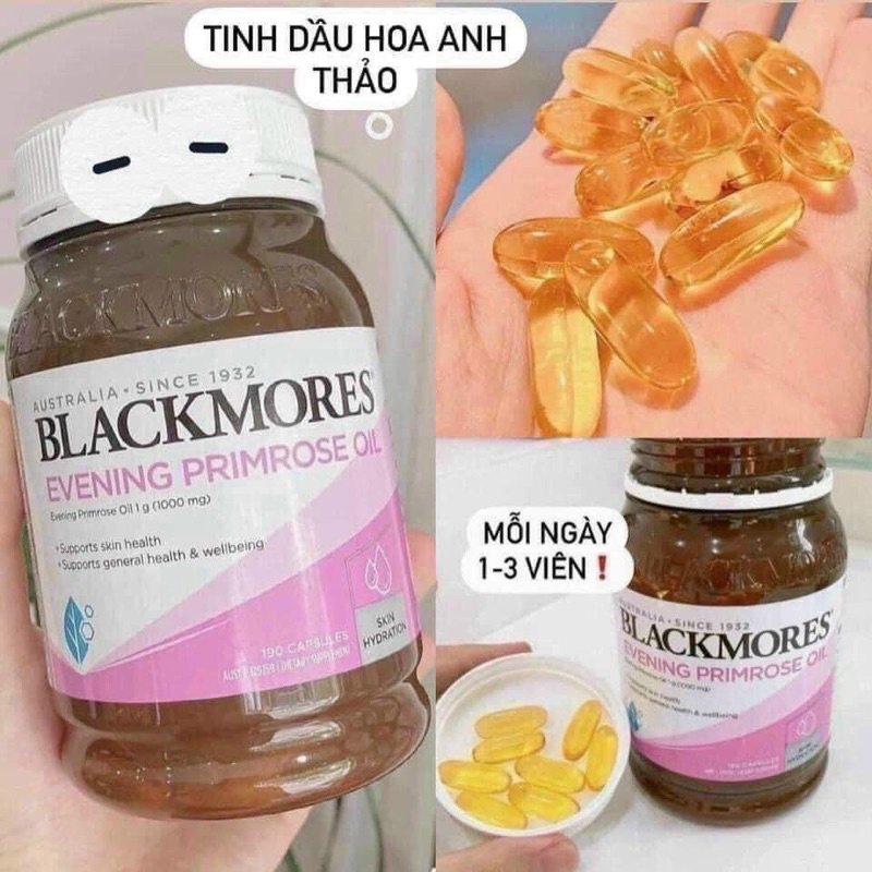 Hoa anh thảo Black Mores