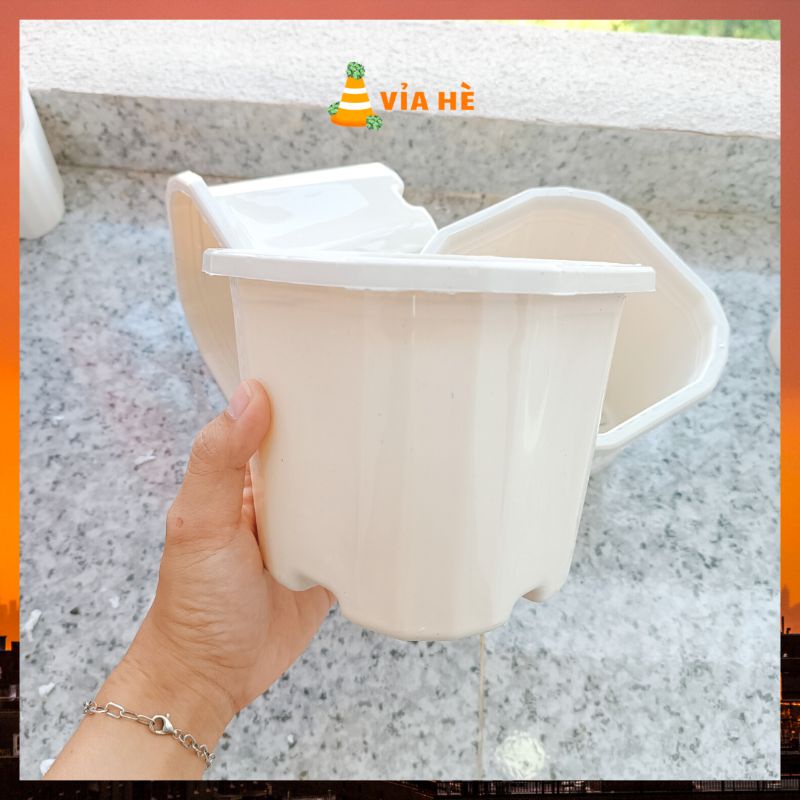 Chậu nhựa vuông cứng màu trắng size 15x13 nhỏ trồng cây xương rồng sen đá để bàn cây dâu tây