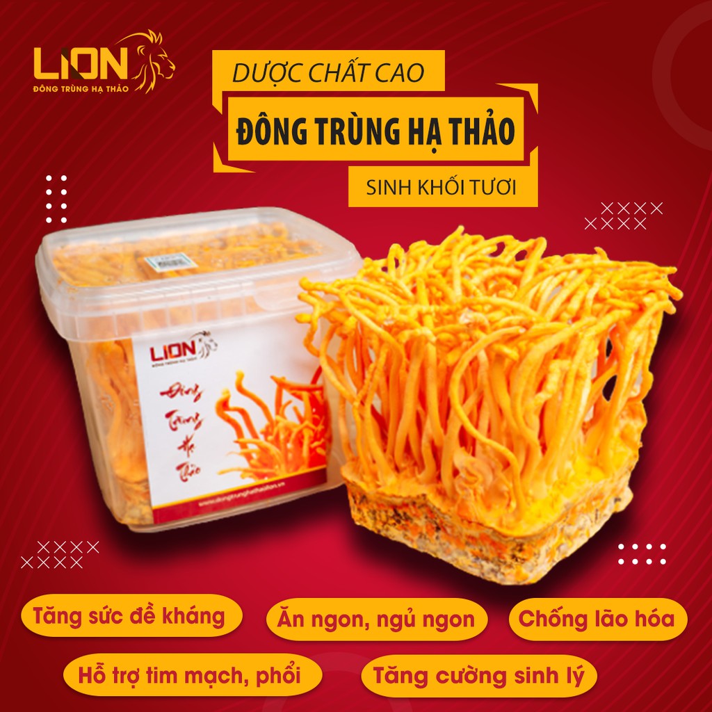 Đông Trùng Hạ Thảo Tươi Cao Cấp - Bảo Hành 1 đổi 1 - Bồi bổ, tăng cường sức khỏe, tăng sinh lý