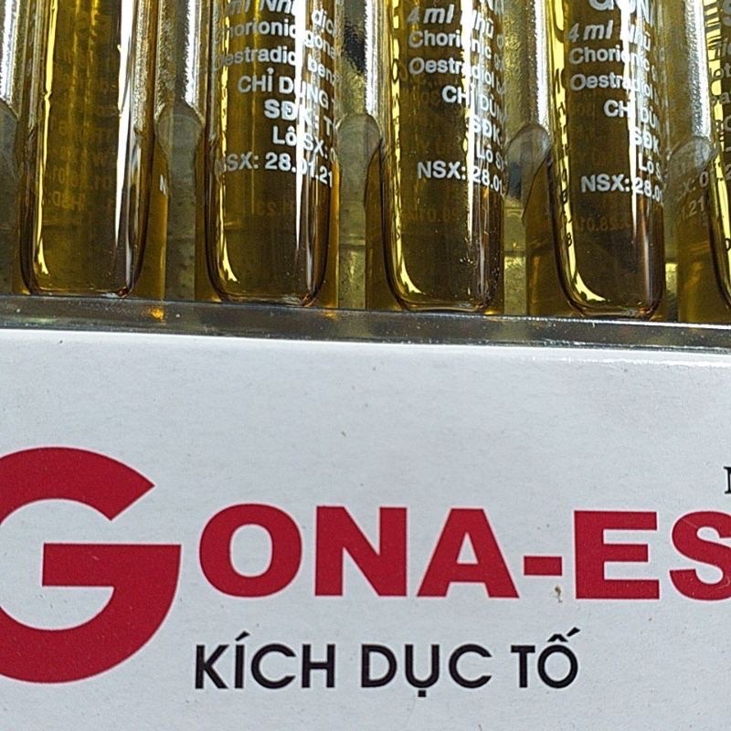 Gona-estrol cho gia súc cái chó mèo lợn trâu bò dê thú y thú cưng ống 4ml