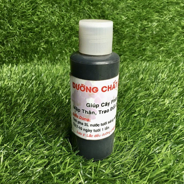 Dưỡng chất CF- Mập thân, trao đổi chất, rễ khỏe lọ 100ml