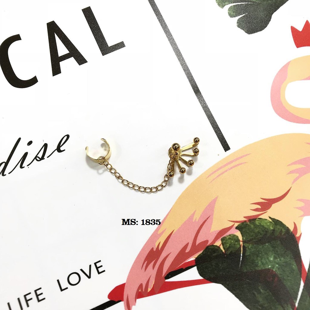 KHUYÊN XÍCH 2 LỖ CAO CẤP / THÉP Y TẾ