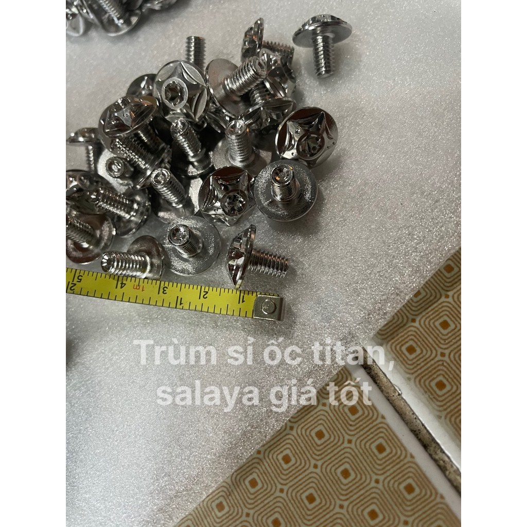 Ốc salaya Đầu Dù 6li inox 1 Phân