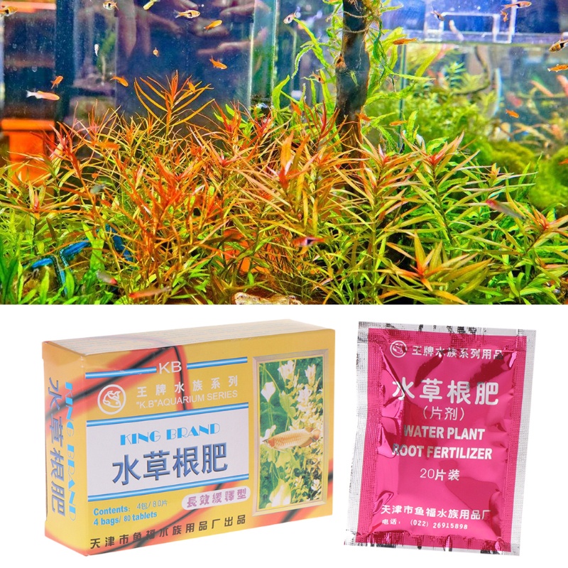 COLO  1 Box Aquarium Water Plant Root Fertilizer 80 Tablets Nutrtion Aquatic Fish Tank