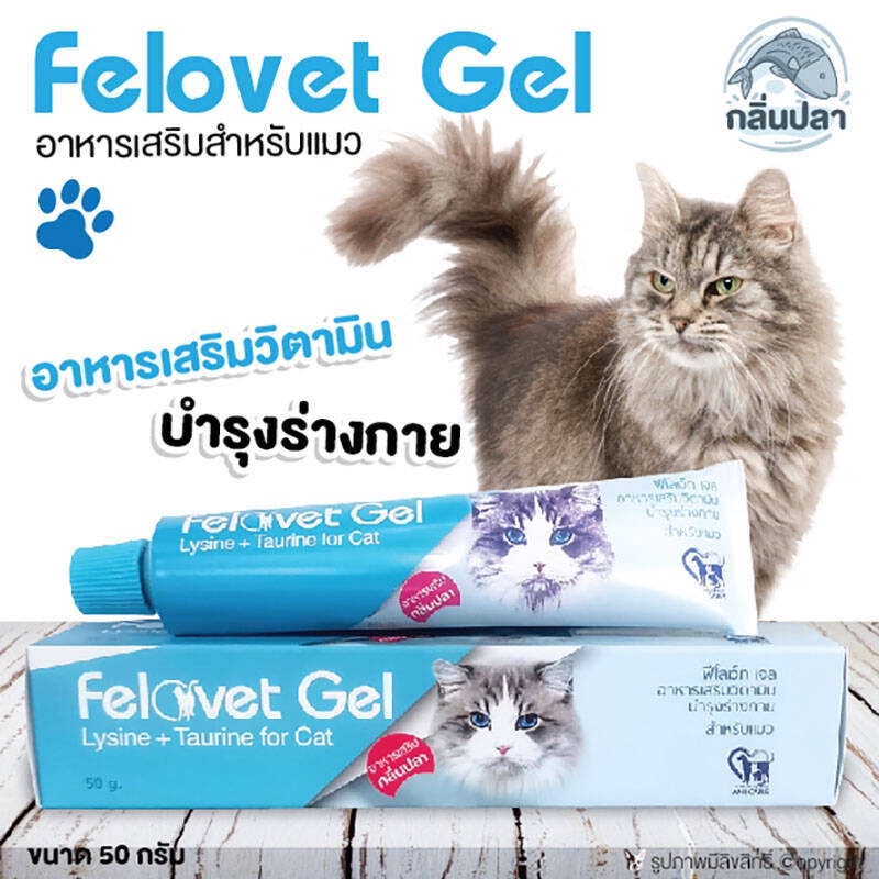 Gel dinh dưỡng Felovet Gel cho mèo