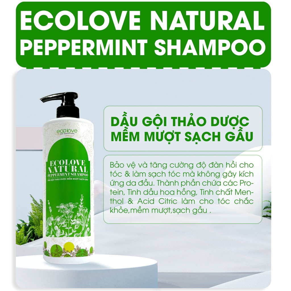 Dầu gội thảo dược sạch gàu và siêu mềm mượt Ecolove Natural Peppermint Shampoo 1000ml
