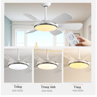 Quạt trần đèn QD117