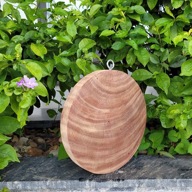 Thớt gỗ nghiến, thớt thái đồ ăn hoa quả kích thước 24cm x 2cm ,Sammi shop