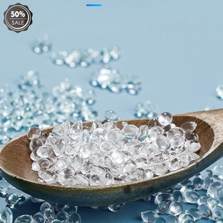 Bể Nuôi Rùa Đồ Chơi Thú Vị
