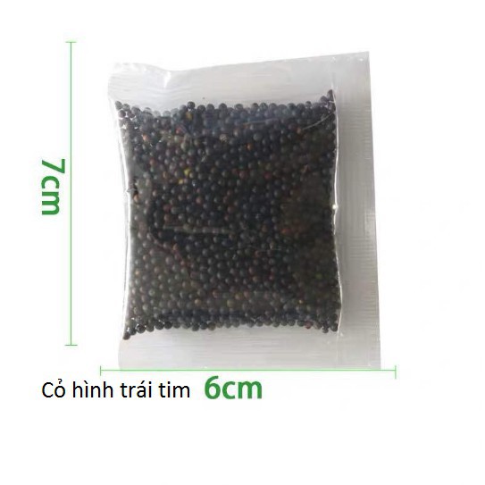 Hạt giống thủy sinh gói 10g- Cỏ Ngưu mao chiên- Trân châu lá ngọc