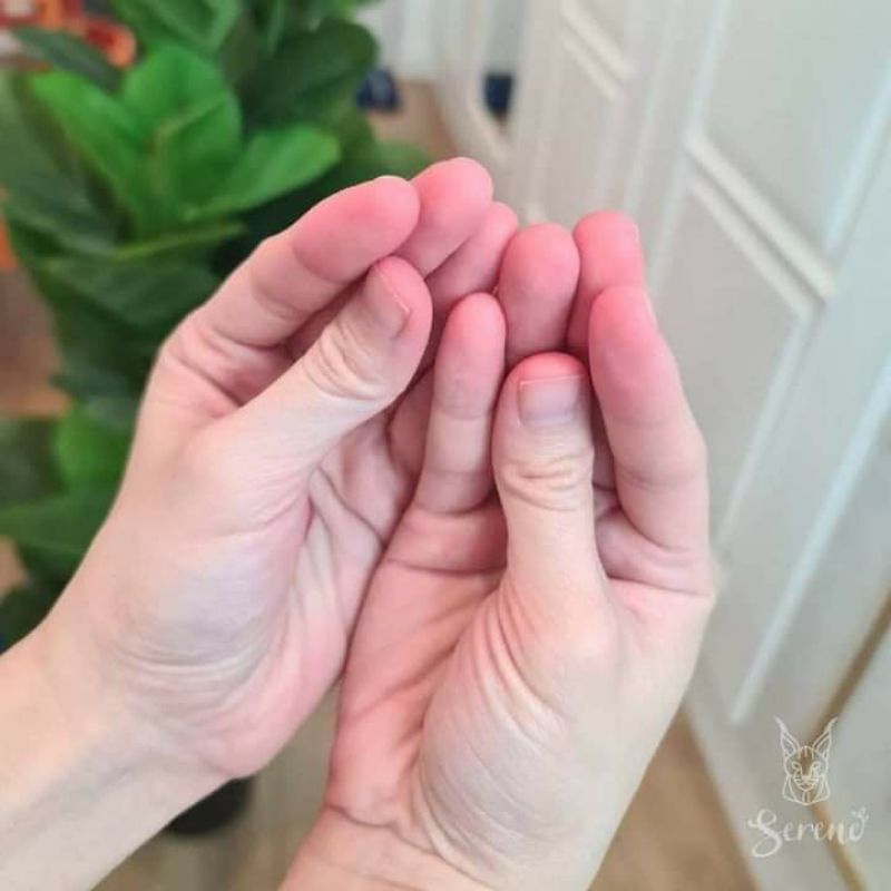 𝗦𝗲𝗿𝗲𝗻𝗲 𝗖𝗲𝗹𝗹𝗮𝗴𝗲𝗻🐯 là Collagen dưỡng da trắng💙 hiệu quả nhất tại 🇹🇭mua2 tặng 1 kem chống nắng 🌞