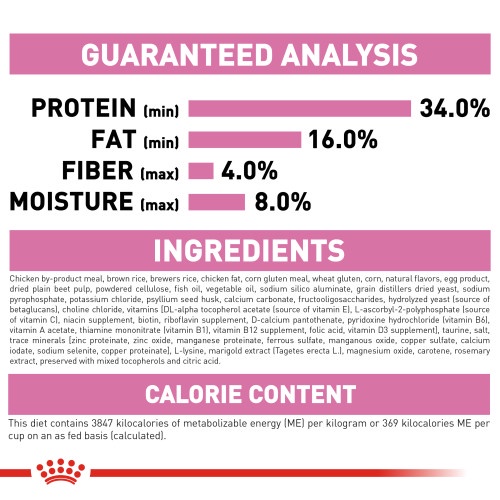 Thức Ăn Hạt Cho Mèo Royal Canin Kitten 400g 2Kg Dành Cho Mèo Con